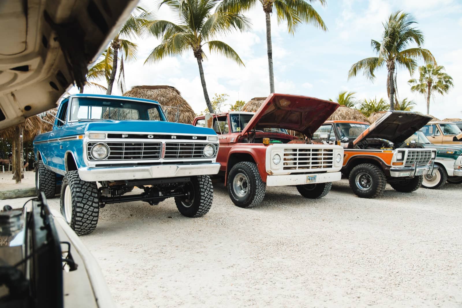 Classic Ford trucks parked in a row with their hoods up under palm trees